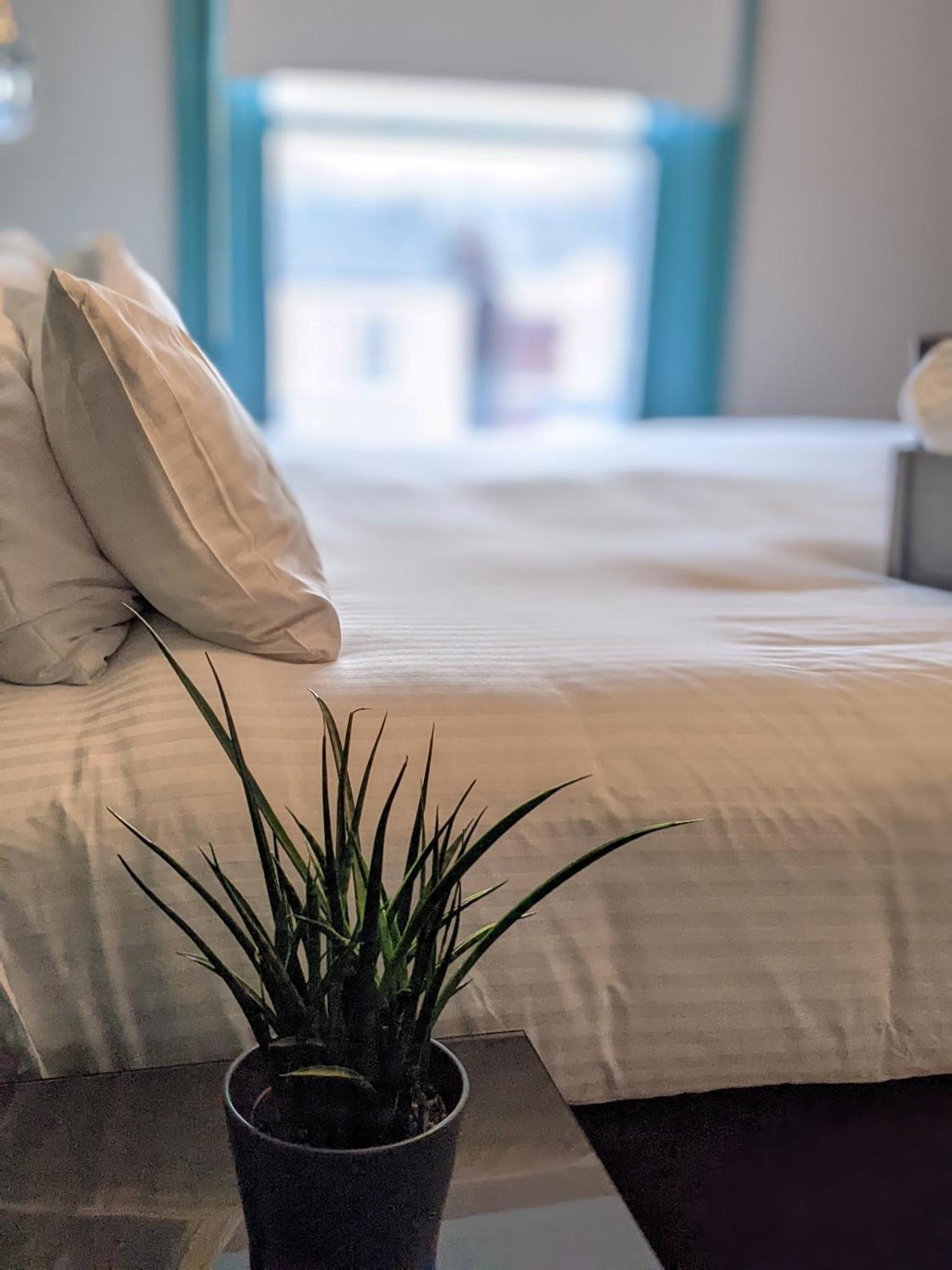 3 -Min Walk To Southport Pier & Beach Fast Wi-Fi & Perfect Getaway Eksteriør bilde